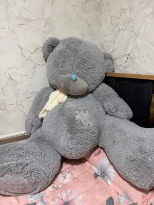 katta teddy ayiq sotiladi srochno kelishtiriladi 1