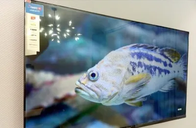Samsung 43 Smart