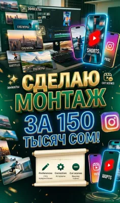 PROFESSIONAL MONTAJ