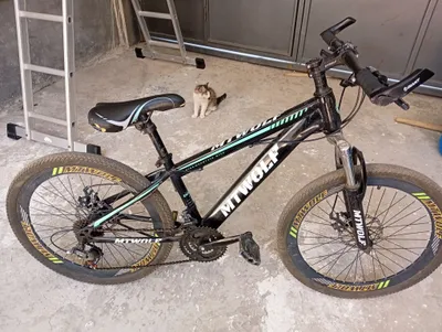 Velosiped 1