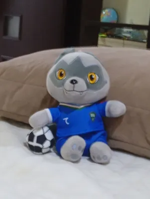 O‘zbekiston futboli bo‘risi 2026 Fifa