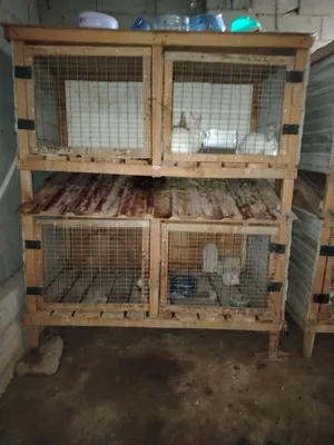 Продаются кроличьи клетки 1