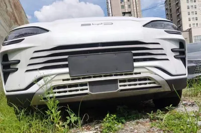 Byd bamper setkasi 1