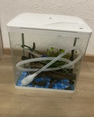 Barcha jihozlari bilan akvarium sotiladi!