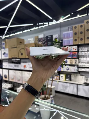 iPad mini 5 1