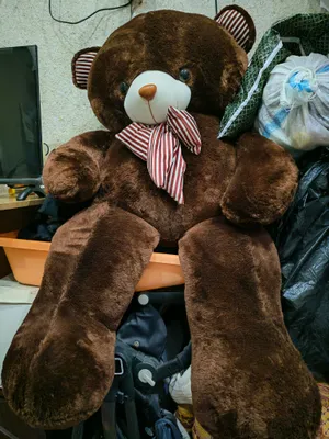 продам мишку большого в хорошем состоянии