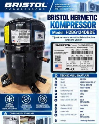 Компрессор Bristol Hermetic H2BG124DBDE 1
