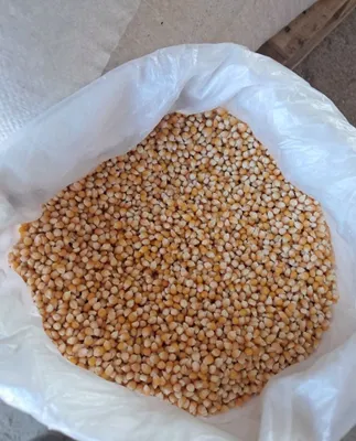 Popkorn Amerikansky 100% toza maxsulot 1