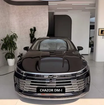 Astana Motors rasmiy dilerida BYD CHAZOR 55 km Luxe 1