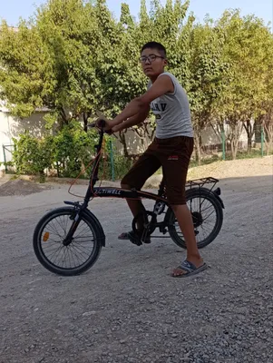 velosiped