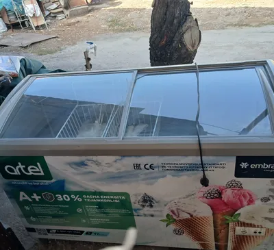 Artel muzlatgichi 1