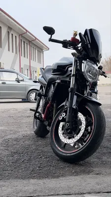Yamaha FZ 6 n S2 1