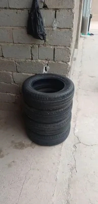 Balon 15 lik neksiya 3 coboltga tushadi 1