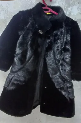 shuba 1