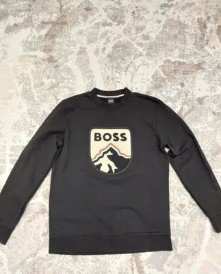 Оригинальная свитшот BOSS (Hugo Boss) 1