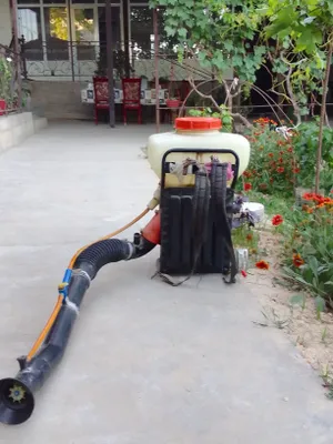 Dori Sepadigan Aparat 1
