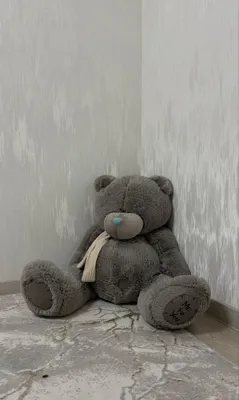 Плюшевый мишка, продам за 380000, такой цены нигде нет 1