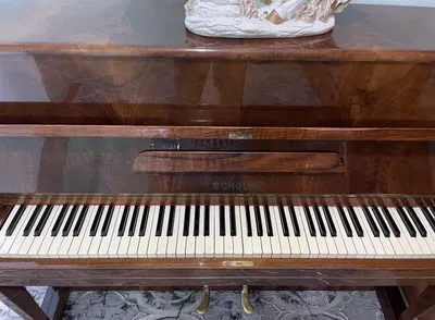 Scholze pianinosi 1