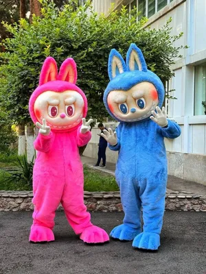 Ayiq iguruki sotamiz 1