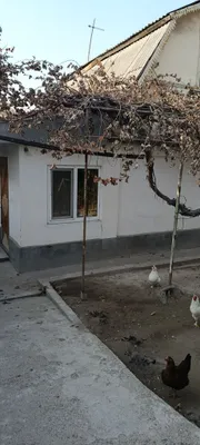 Продаётся дача на Таш-Морем 1