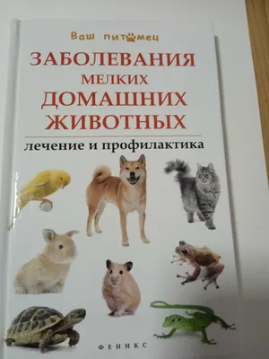 Книга. Заболевания мелких домашних животных. 1