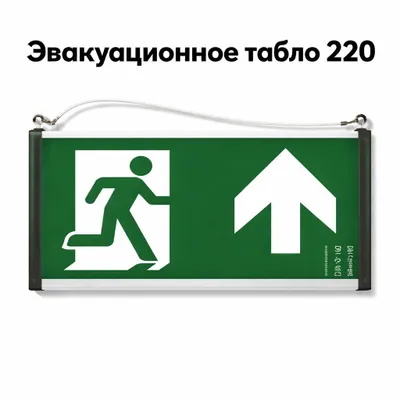 Эвакуационное табло Выход вверх 220В LED с аккумул