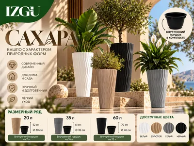 Gullar uchun tuvak / «Sahara» kashposi 1