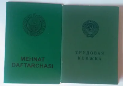 Советская и Узбекская трудовые книжки и вкладыши 1