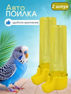 ёмкость для воды