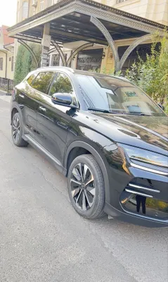 BYD chempion 2024 1
