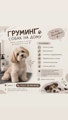 стрижка собак