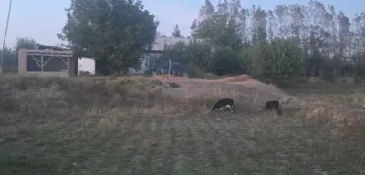 Продаётся земельный участок 1