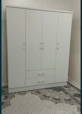 Shkaf 1
