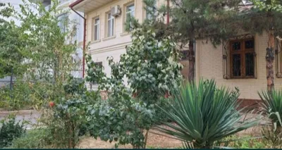 дом 1