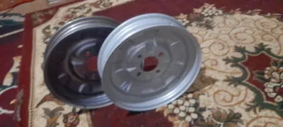 muravi dikasi 1