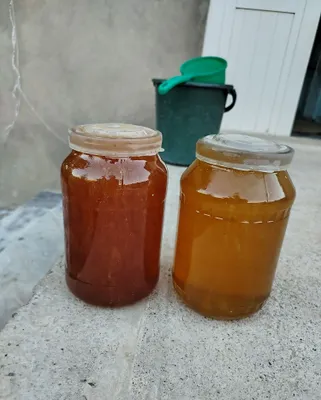 Продаётся горный мёд 1