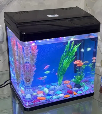Akvaryum sotiladi 1