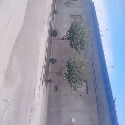 uy sotiladi xonali 7 sotix 11 4