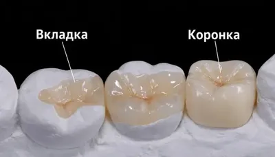 Стоматологическая услуга