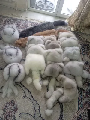 Натуральный шапки 1
