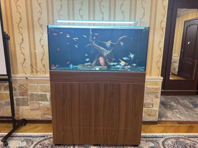 200 litrlik akvarium 1