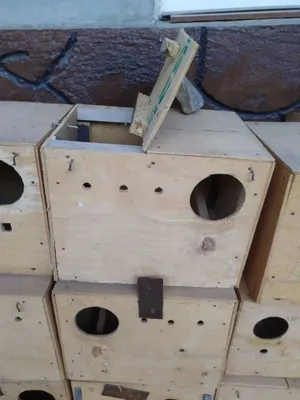 Faneradan yasalgan qopqoqli uyacha sotiladi 1