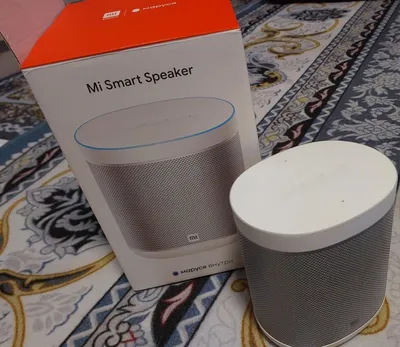 Mi Smart Speaker 1