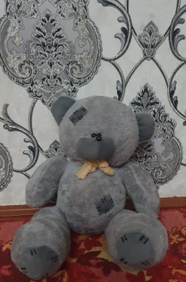Teddy ayiqcha