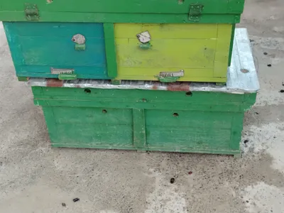 Продаётся пчелиный улей 1