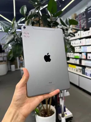 iPad Pro 10.5 1