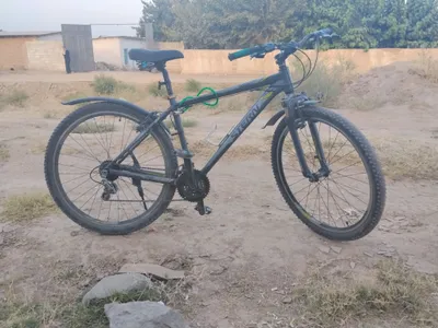 velosiped