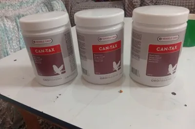 канарека учун краска 1