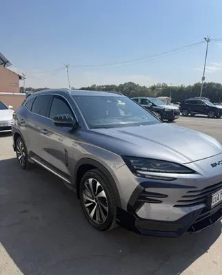 BYD CHEMPION 150 талик фулл 1