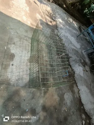 Нержавеющие клетки 1